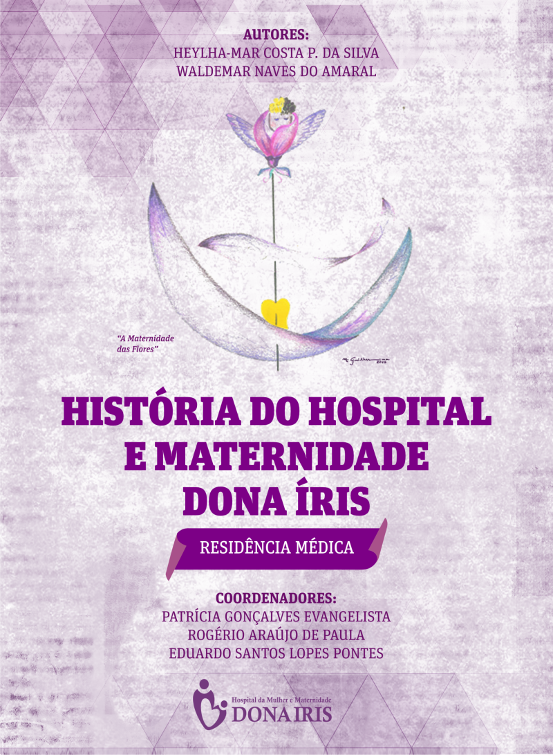 A História do Hospital e Maternidade Dona Íris